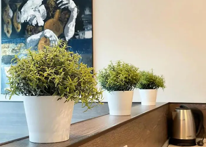 Apartamento High Rise By Cosher Sofía